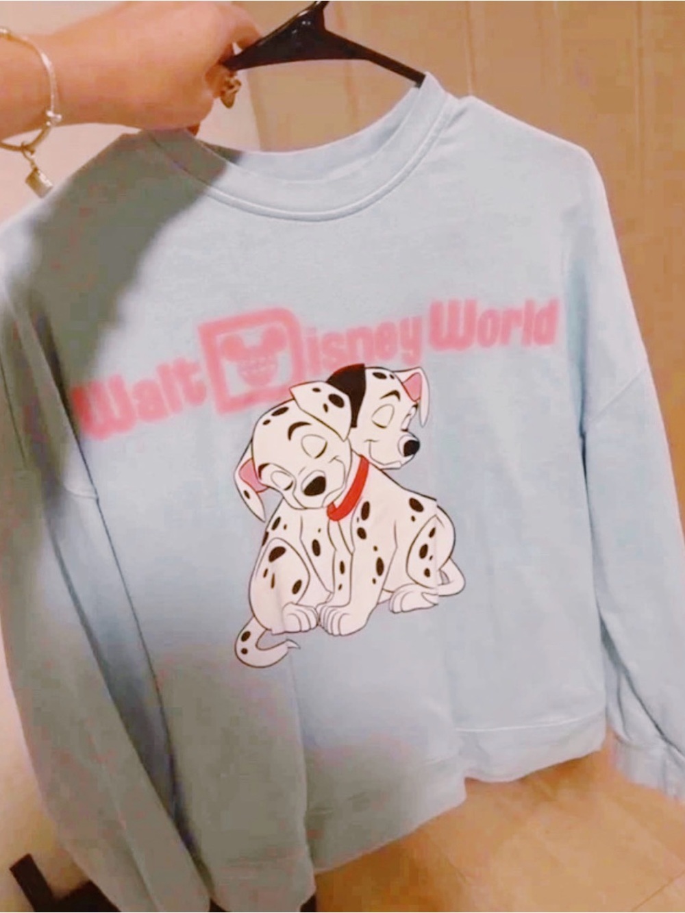 Disney Light Blue 101 Dalmatians Pullover Sweatshirt with Pink Logo